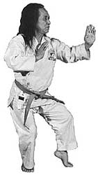 FightingArts.com - Goju-Ryu Karate-Do Kyohan: The Significance of Kata