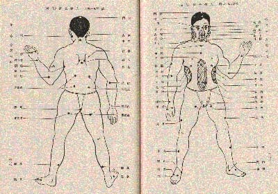 🖥️ Deadly Pressure Points On The Human Body vital_points2